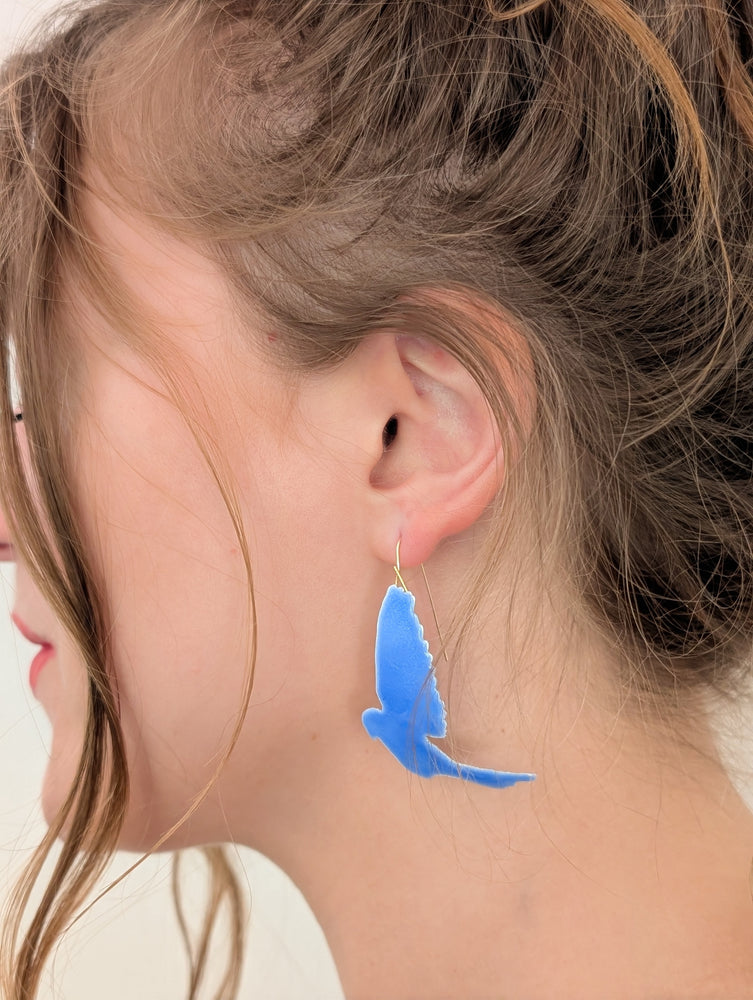 Large Blue Birds