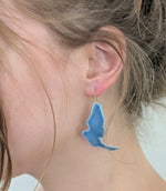 Large Gray Blue Birds