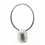 Beetle Necklace / Pin